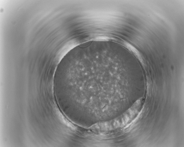 X0000088431194200705291517