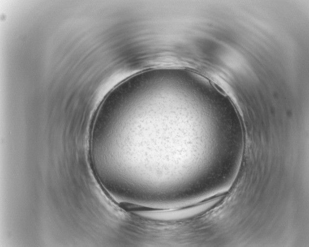 X0000088431195200705291517