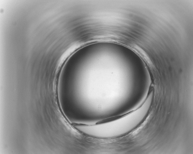 X0000088431196200705291517