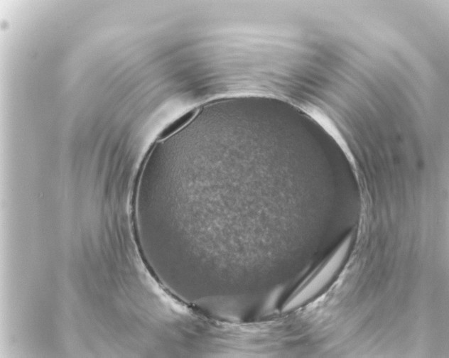 X0000088431197200705291517