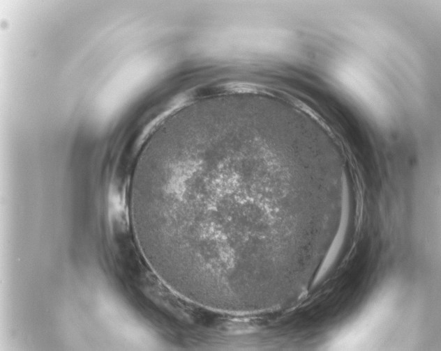 X0000088431198200705291517