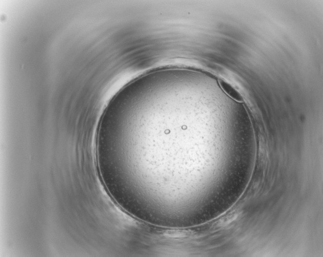 X0000088431199200705291517