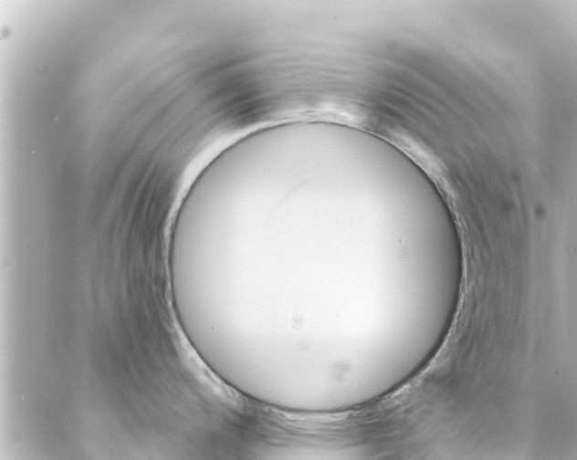 X0000088431200200705291517