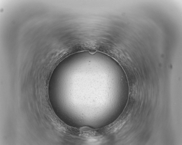 X0000088431201200705291516