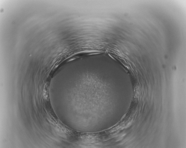 X0000088431202200705291516