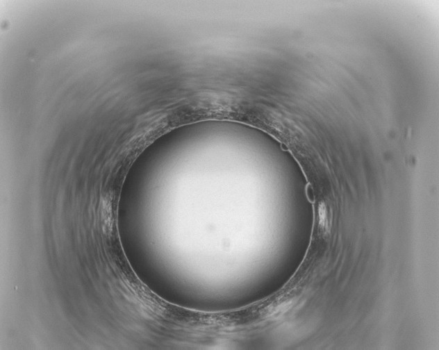 X0000088431203200705291516