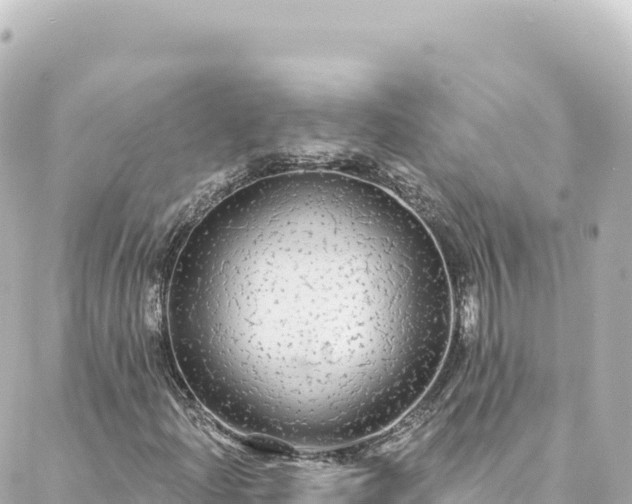 X0000088431204200705291516