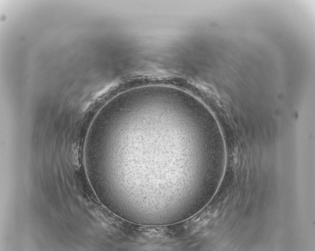 X0000088431205200705291516