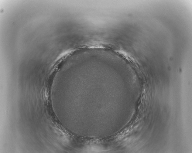 X0000088431206200705291516