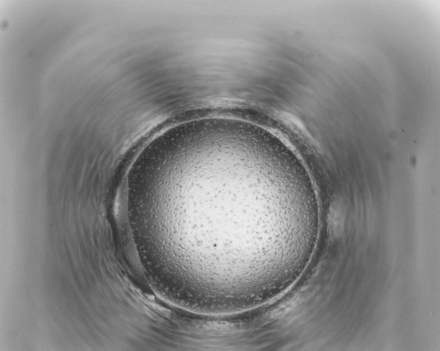 X0000088431209200705291516