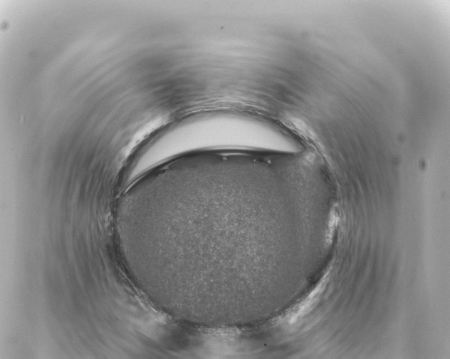 X0000088431210200705291516