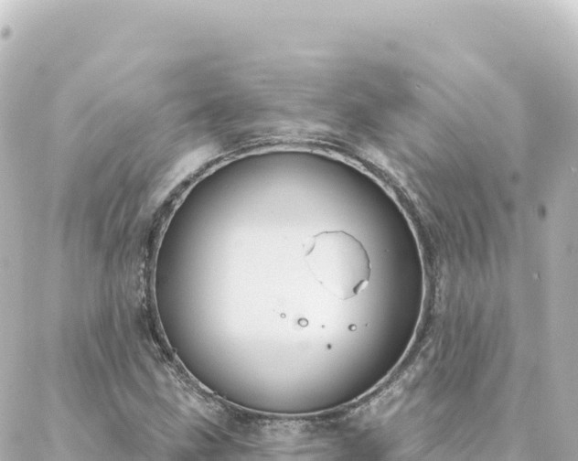 X0000088431211200705291516