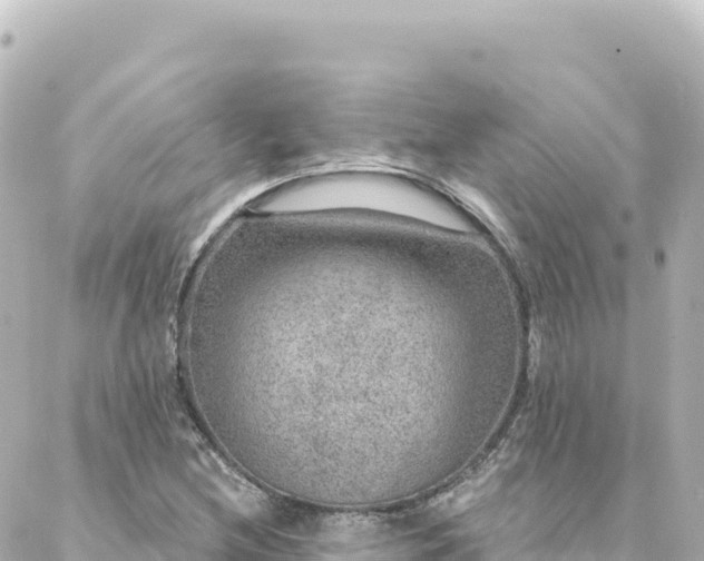 X0000088431212200705291516