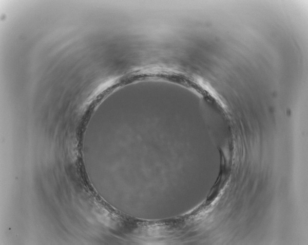 X0000088431213200705291516