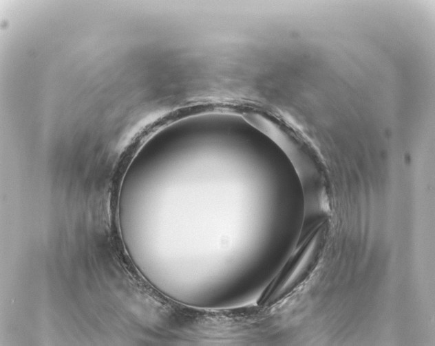 X0000088431214200705291516