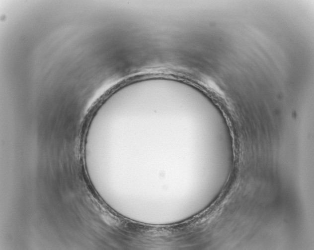 X0000088431216200705291516