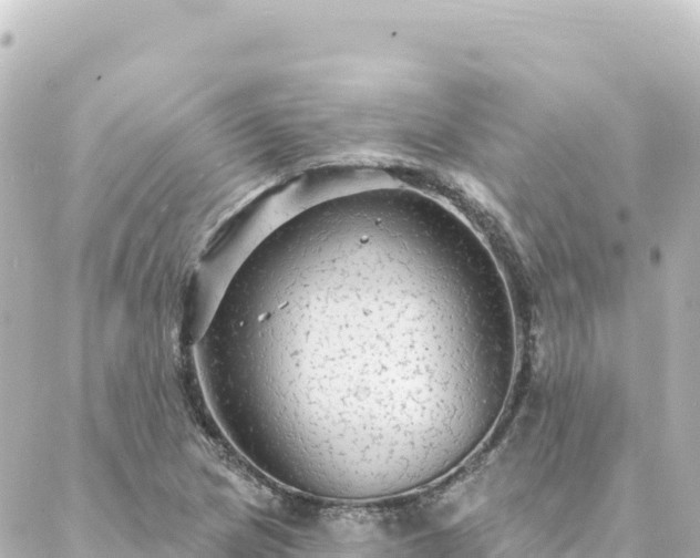 X0000088431217200705291516