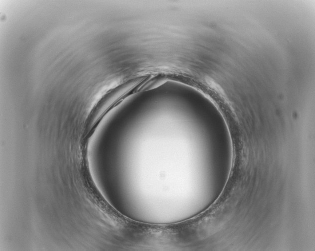 X0000088431218200705291516