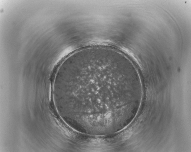 X0000088431219200705291516