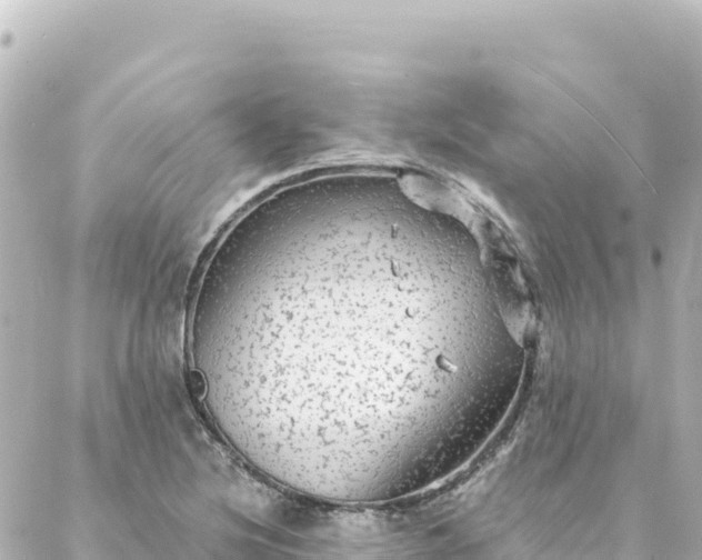 X0000088431220200705291516