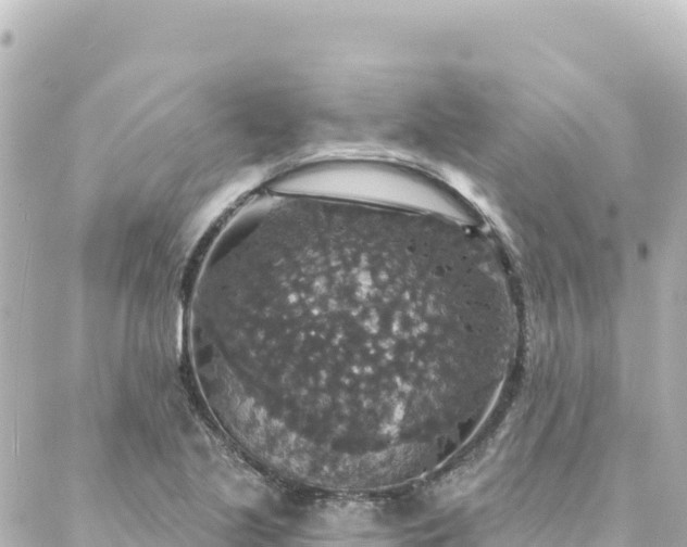 X0000088431221200705291516