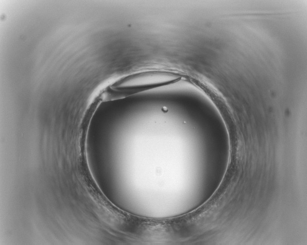 X0000088431222200705291517