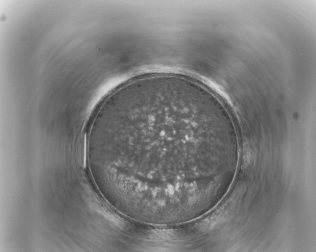 X0000088431223200705291517