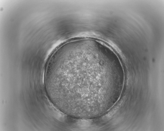 X0000088431224200705291517