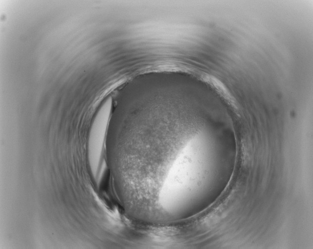 X0000088431225200705291517