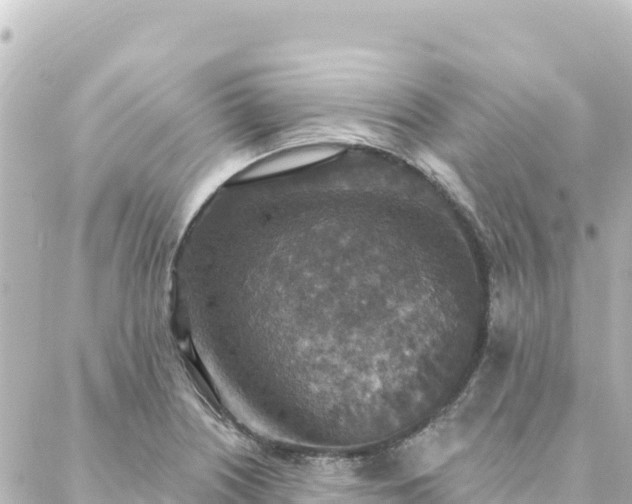 X0000088431226200705291517