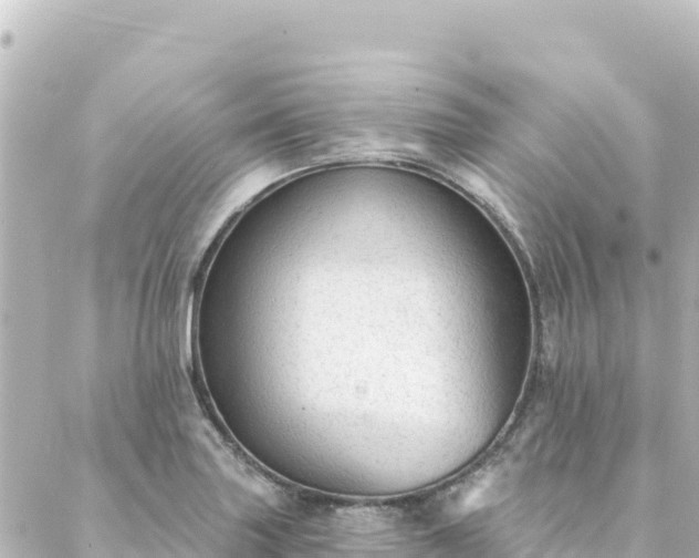 X0000088431227200705291517