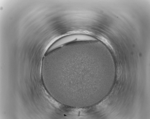 X0000088431228200705291517