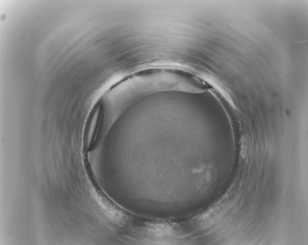 X0000088431229200705291517