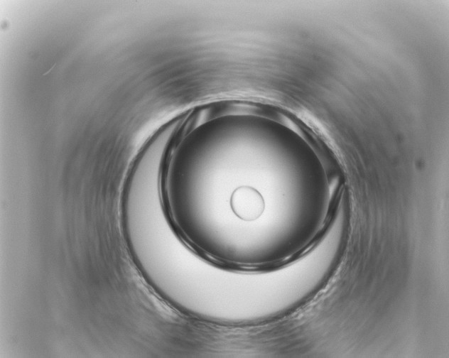 X0000088431230200705291517