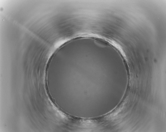 X0000088431231200705291517