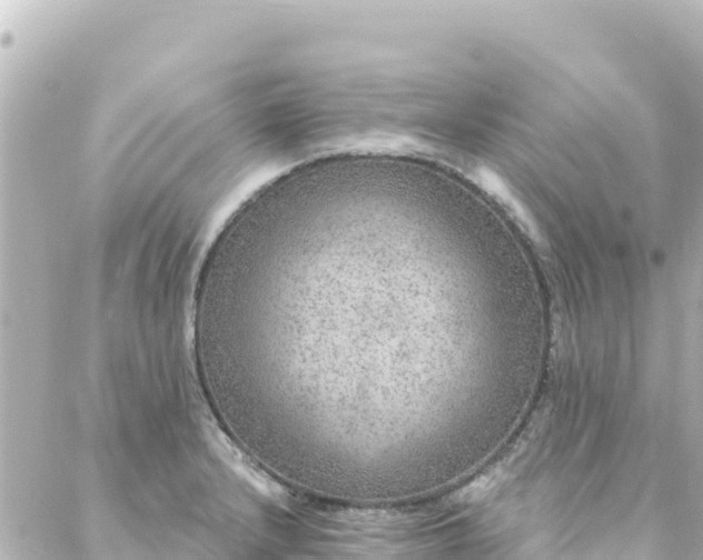 X0000088431232200705291517