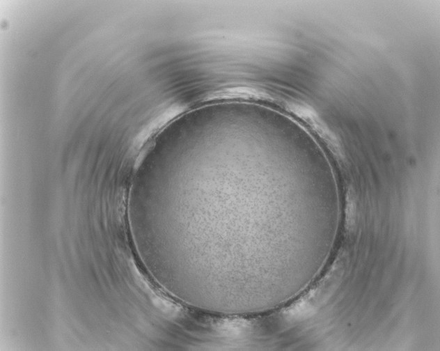 X0000088431233200705291517