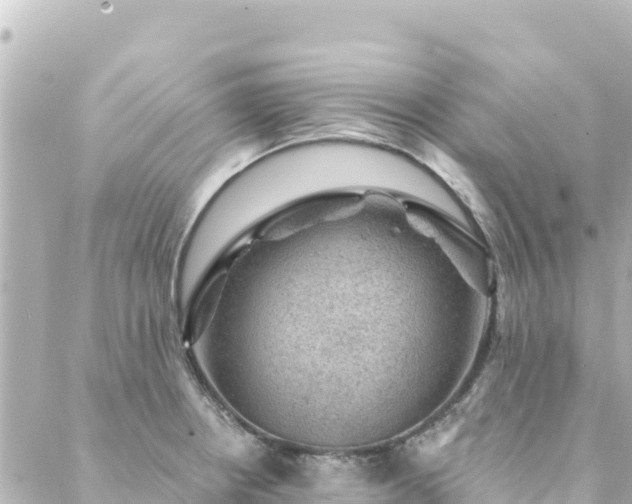 X0000088431234200705291517