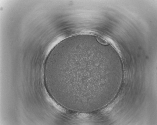 X0000088431235200705291517