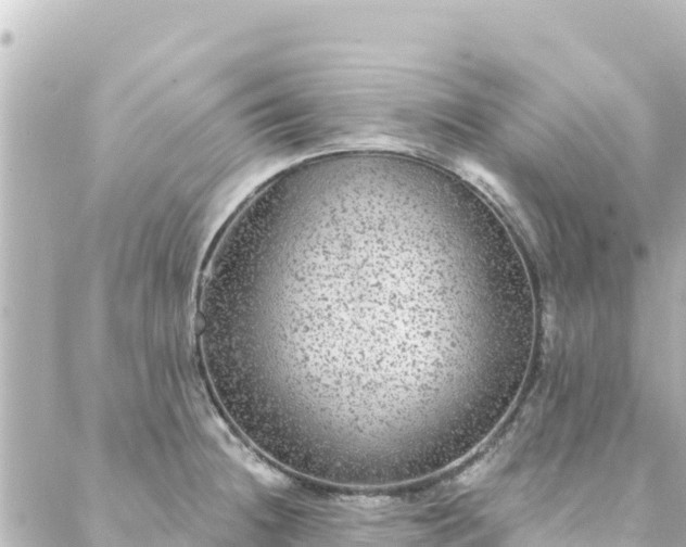 X0000088431236200705291517