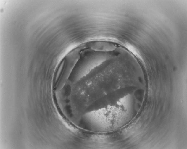 X0000088431237200705291517