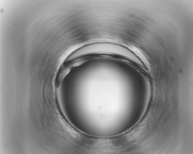 X0000088431238200705291517