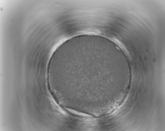 X0000088431240200705291517