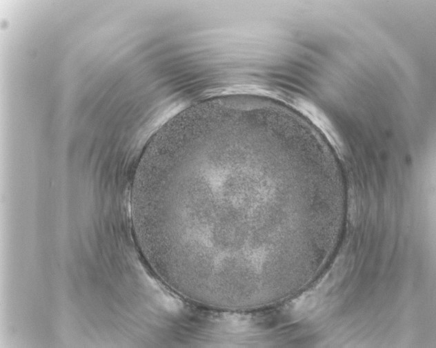 X0000088431241200705291517