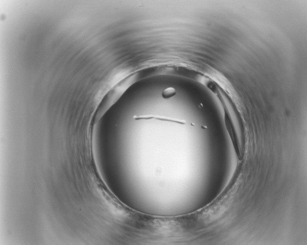 X0000088431242200705291517