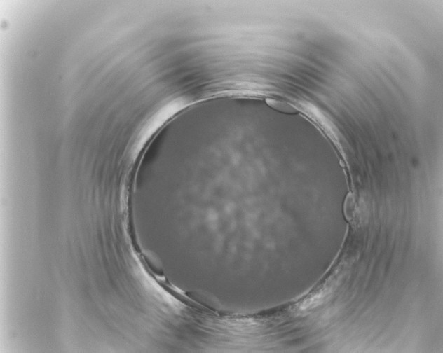 X0000088431243200705291517