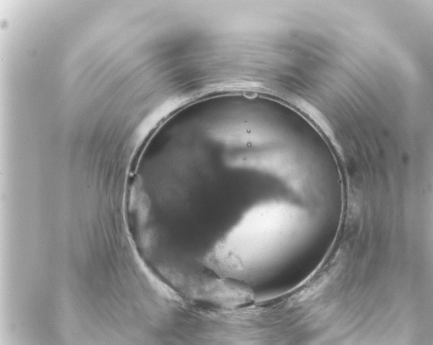 X0000088431245200705291517