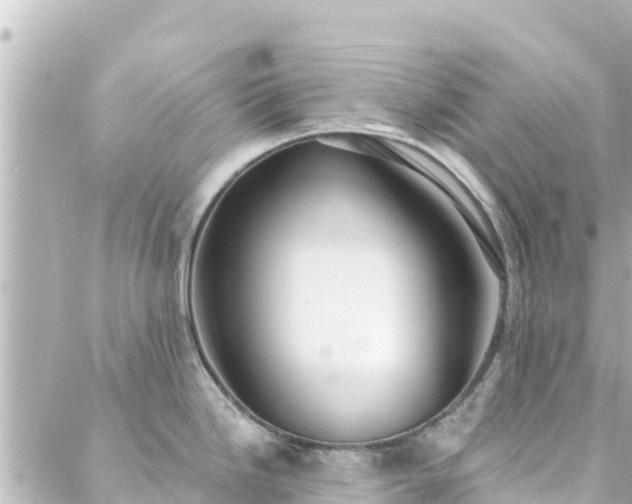 X0000088431246200705291517