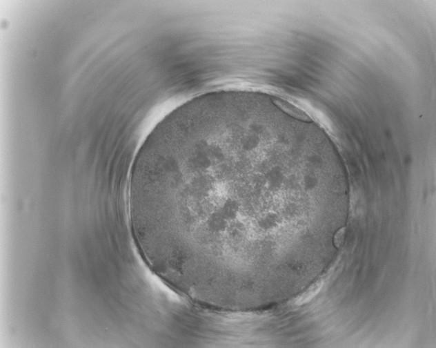 X0000088431247200705291517