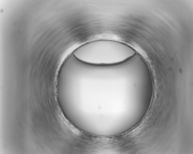 X0000088431248200705291517